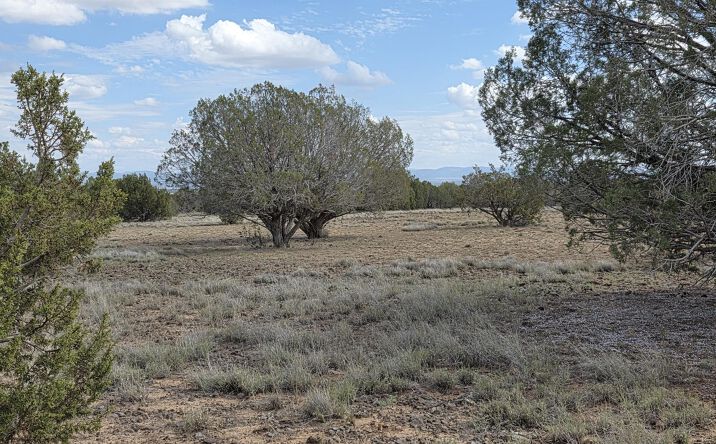 Pictures of Land property located at 64 Antelope Run, Ash Fork, AZ 86320 for sales - image #1