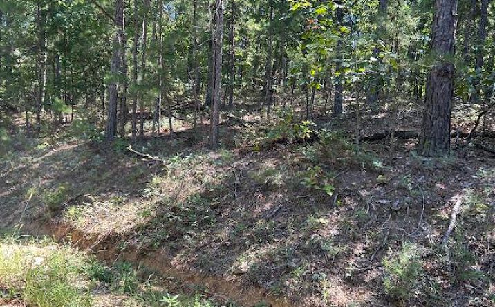 Pictures of Land property located at 1 County Road 137, Annapolis, MO 63620 for sales - image #1