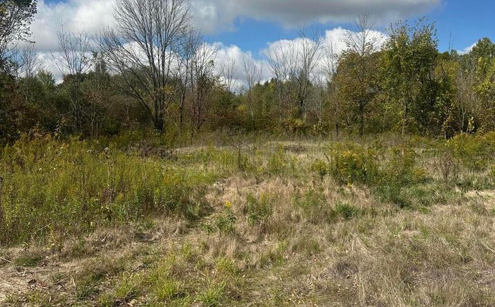 Pictures of Land property located at Jerome Road, Dublin, OH 43016 for sales - image #1