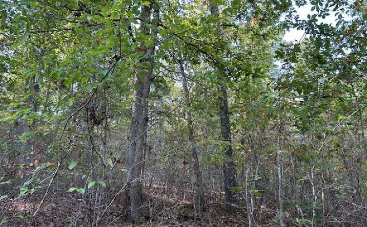 Pictures of Land property located at 240 Kaw Ct, Annapolis, MO 63620 for sales - image #1