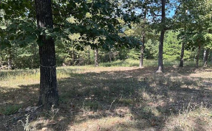 Pictures of Land property located at 1087 Main St, Annapolis, MO 63620 for sales - image #1