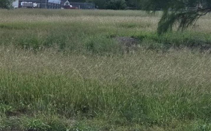 Pictures of Land property located at 3716 S US Highway Business 281 Street, Edinburg, TX 78539 for sales - image #1