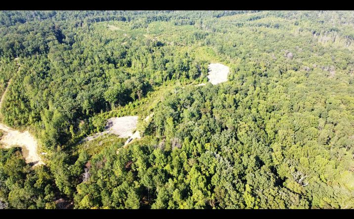 Pictures of Land property located at 000 County Road 3161, Houston, AL 35572 for sales - image #1