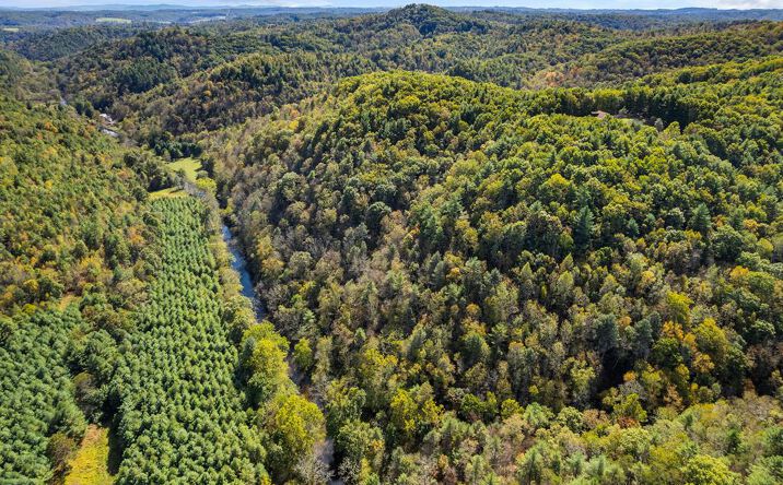 Pictures of Land, Multifamily property located at TBD Scratch Gravel Rd, Max Meadows, VA 24360 for sales - image #1