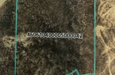 27631994