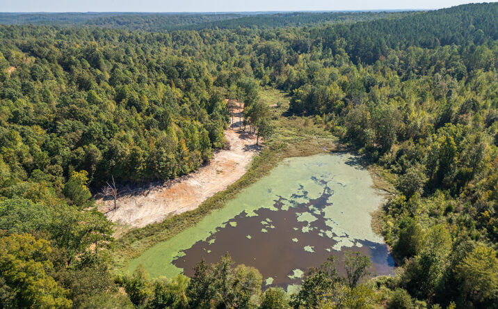 Pictures of Land property located at County Road 210, Pittsboro, MS 38951 for sales - image #1