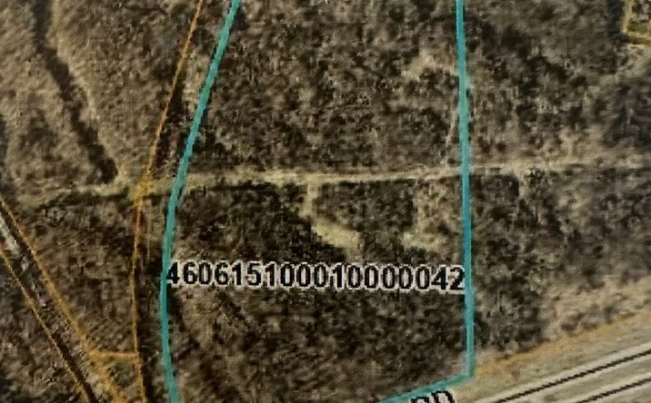 Pictures of Land property located at N State Road 39 Road, La Porte, IN 46350 for sales - image #1