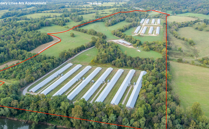 Pictures of Land property located at 2845 Whites Bottom Rd, Burkesville, KY 42717 for sales - image #1