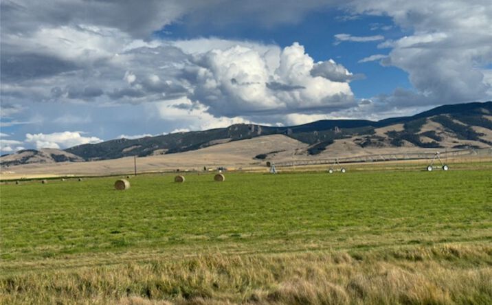 Pictures of Land property located at NHN Luppold Road, White Sulphur Springs, MT 59645 for sales - image #1