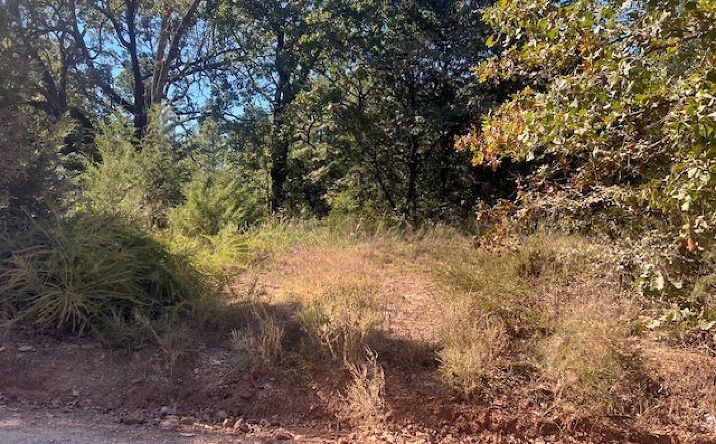 Pictures of Land property located at Half Bank Road, Atoka, OK 74525 for sales - image #1