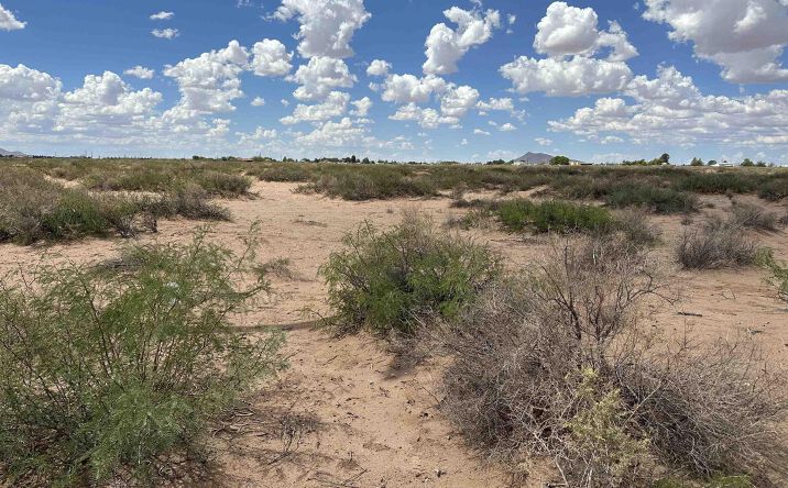 Pictures of Land property located at XXXX Overhill #1 Drive Nw, Deming, NM 88030 for sales - image #1
