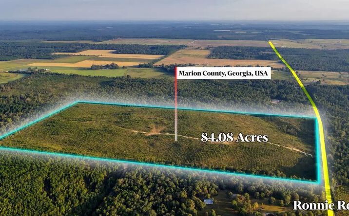 Pictures of Land property located at SR-240 Connector, Mauk, GA 31058 for sales - image #1