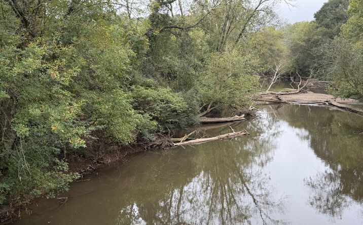 Pictures of Land property located at County Road 60, Heflin, AL 36264 for sales - image #1