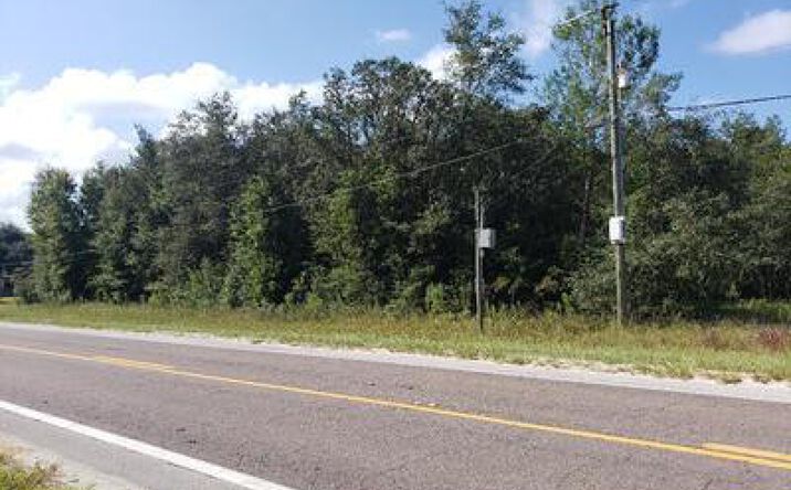 Pictures of Land property located at 341 COUNTY ROAD 315, Interlachen, FL 32148 for sales - image #1