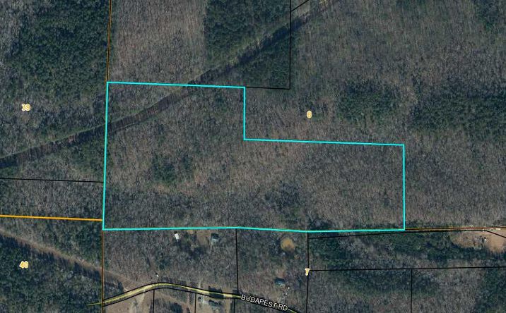 Pictures of Land property located at 0 Budapest Cemetery Rd, Tallapoosa, GA 30176 for sales - image #1