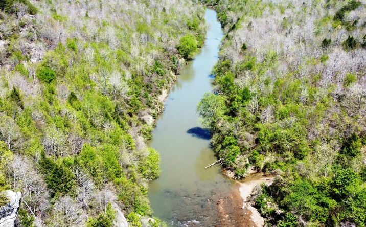 Pictures of Land property located at 65400 State Route 172, Phil Campbell, AL 35581 for sales - image #1