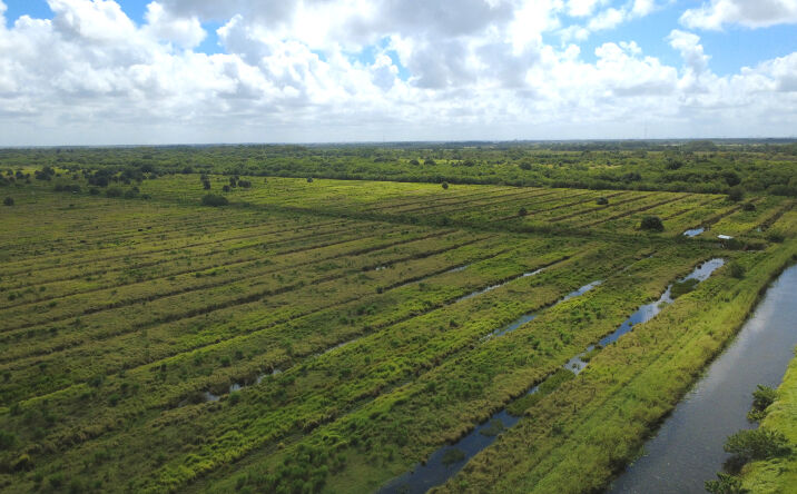 Pictures of Land property located at 146th Ave SW, Vero Beach, FL 32968 for sales - image #1