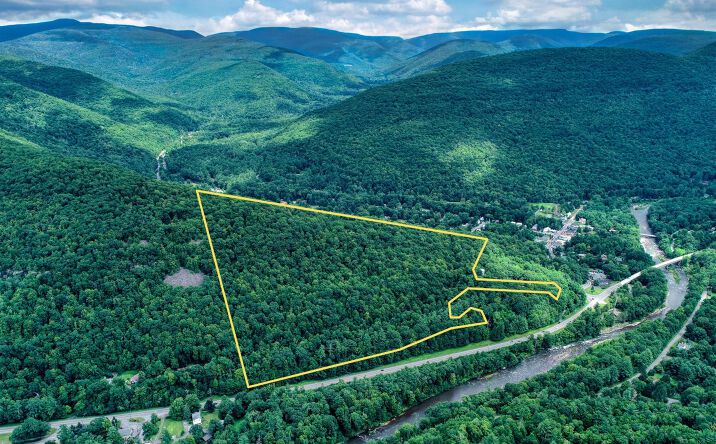 Pictures of Land property located at TBD NY-28, Phoenicia, NY 12449 for sales - image #1