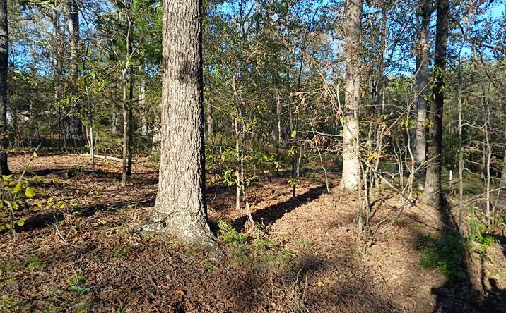 Pictures of Land, Multifamily property located at Lot 102 Hill Top Rd, Big Sandy, TN 38221 for sales - image #1