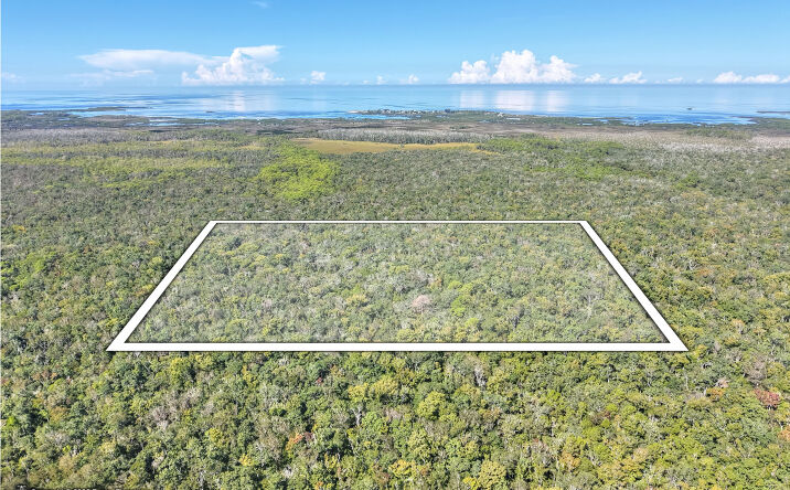 Pictures of Land property located at Pine Island Drive, Weeki Wachee, FL 34613 for sales - image #1