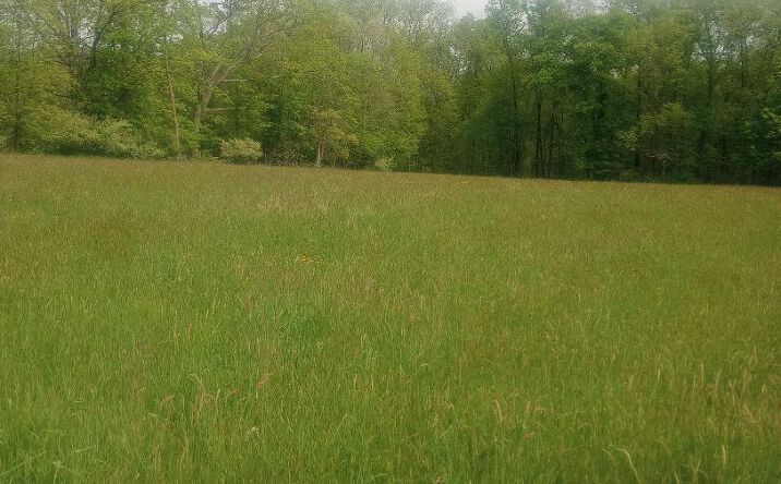 Pictures of Land property located at Myers RD. Westtown, Minisink, NY 10998 for sales - image #1