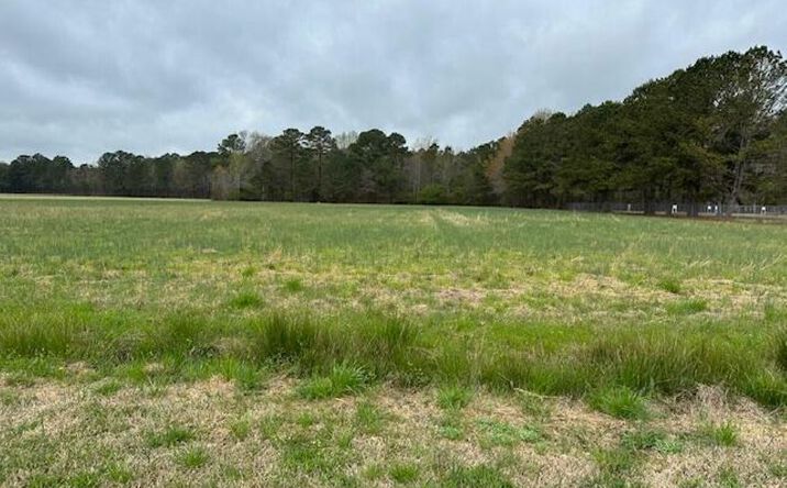 Pictures of Land property located at 235 Hwy 32, Sunbury, NC 27979 for sales - image #1