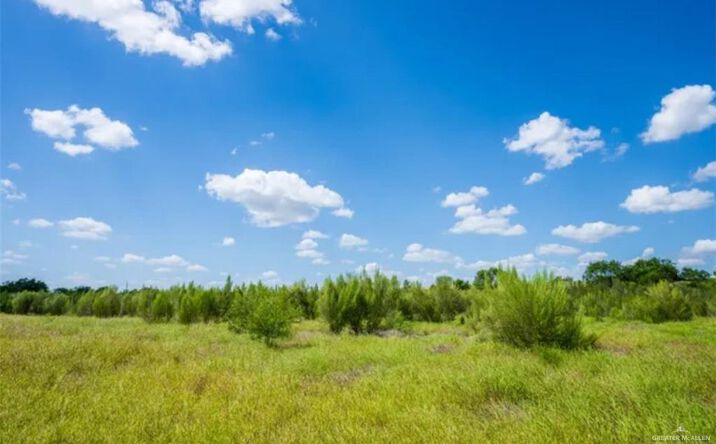Pictures of Land property located at 35700 FM 3250 S, Linn, TX 78563 for sales - image #1