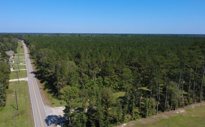 Pictures of Land property located at Dunn Rd, Denham Springs, LA 70726 for sales - image #1
