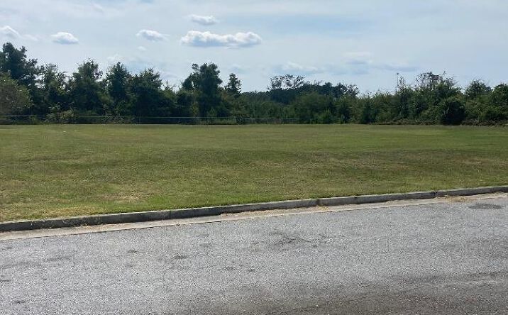 Pictures of Land property located at 123 Flash Foods Rd, Brunswick, GA 31523 for sales - image #1