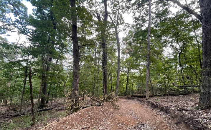 Pictures of Land property located at Co Rd 206, Eureka Springs, AR 72632 for sales - image #1