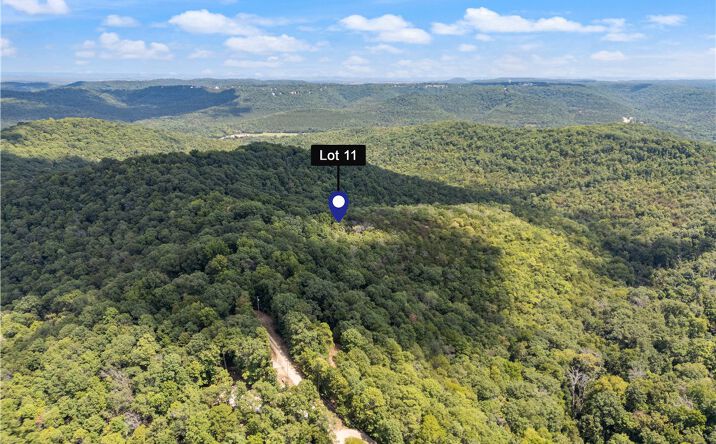 Pictures of Land property located at Co Rd 206, Eureka Springs, AR 72632 for sales - image #1