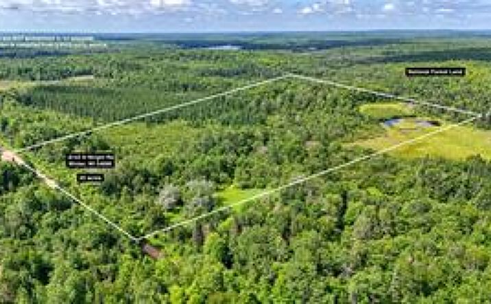 Pictures of Land property located at 8143 Wright Rd, Winter, WI 54896 for sales - image #1