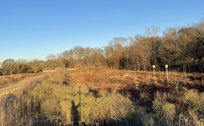 Pictures of Land property located at 5.40 acres in Richland Parish, Archibald, LA 71218 for sales - image #1