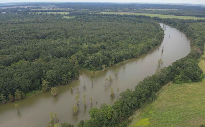 Pictures of Land property located at 208 Acres - Oak Ridge, Oak Ridge, LA 71264 for sales - image #1