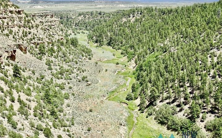 Pictures of Land property located at 955 County Road 303 Road, Cebolla, NM 87518 for sales - image #1