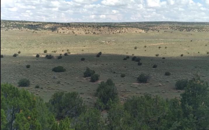 Pictures of Land property located at 1587 Nm Highway 36 Highway, Fence Lake, NM 87315 for sales - image #1