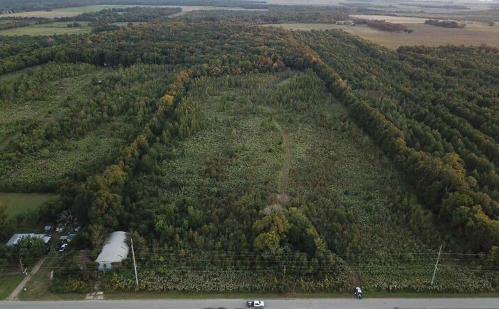 Pictures of Land property located at 33.4 acres in Richland Parish, Holly Ridge, LA 71269 for sales - image #1