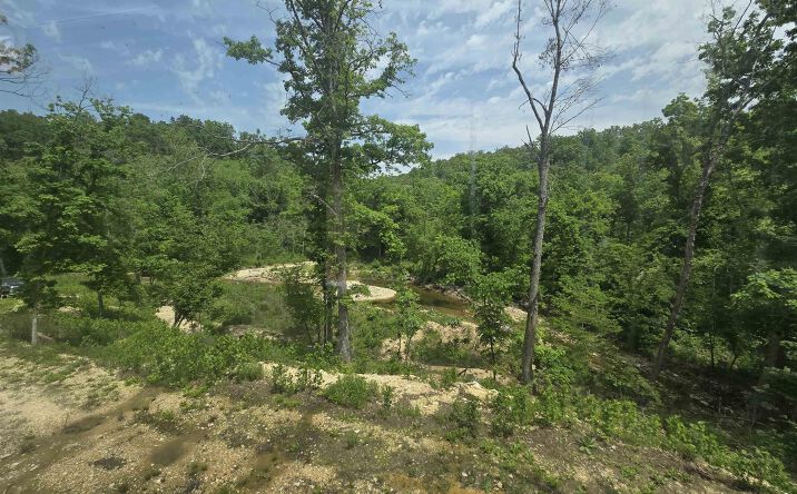 Pictures of Land, Special Purpose property located at Lot 17 E 64 hwy, Lebanon, MO 65536 for sales - image #1