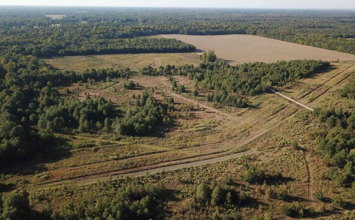 Pictures of Land property located at 62 Acres - Holly Ridge, Louisiana, Rayville, LA 71269 for sales - image #1