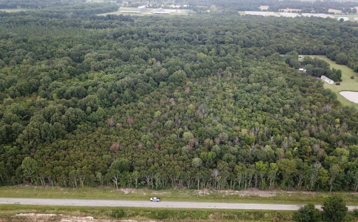 Pictures of Land property located at 15 Acres in Richland Parish, Rayville, LA 71269 for sales - image #1