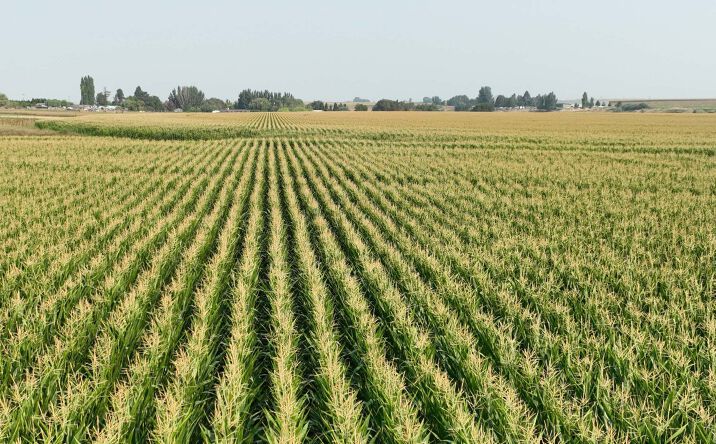 Pictures of Land property located at S Steele Rd, Othello, WA 99334 for sales - image #1