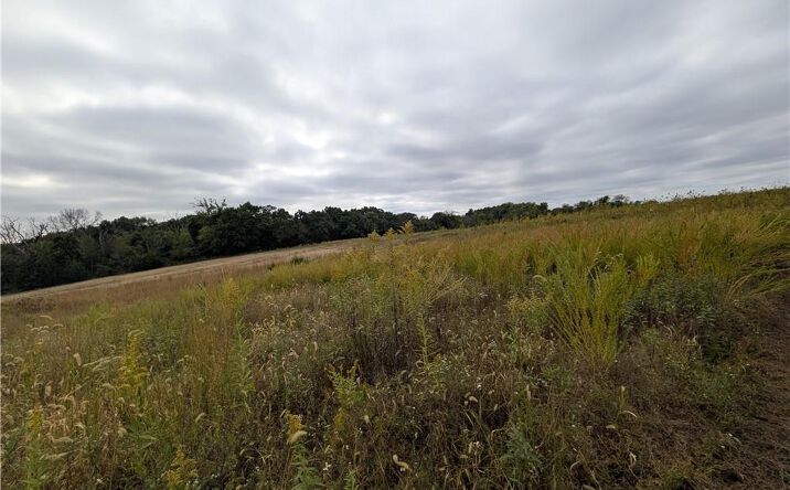 Pictures of Land, Special Purpose property located at E 270th Avenue, Ridgeway, MO 64481 for sales - image #1