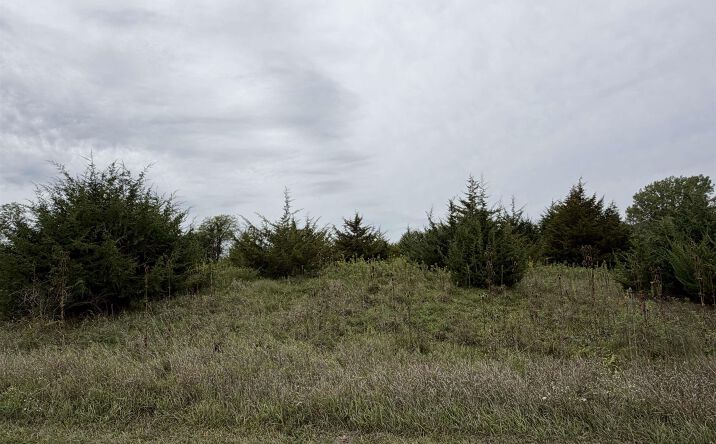 Pictures of Land, Special Purpose property located at Shooting Star Ave, Fairfield, IA 52556 for sales - image #1