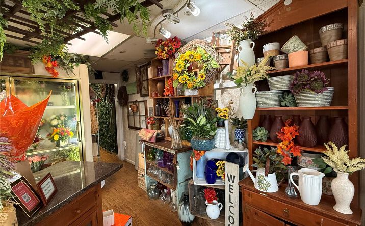 Pictures of Business for Sale, Retail property located at 4 Veschi Lane N, Carmel, NY 10541 for sales - image #1
