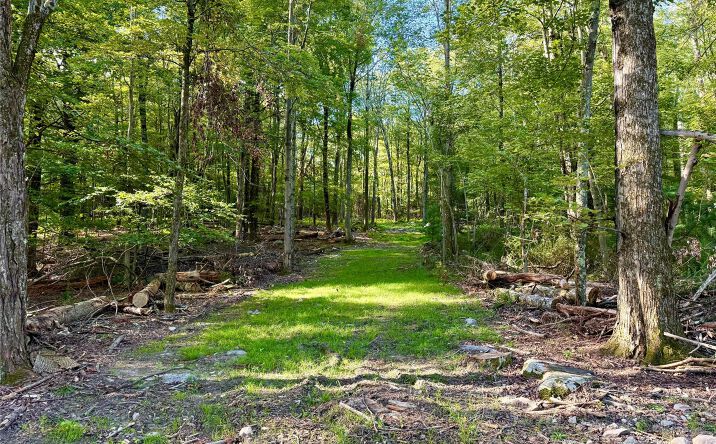 Pictures of Land property located at Mt Prosper Road, Mamakating, NY 12790 for sales - image #1