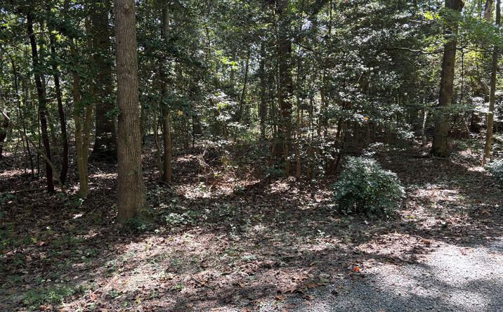 Pictures of Land property located at 47 Hickory Hill Ln, Lancaster, VA 22503 for sales - image #1