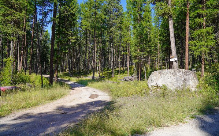 Pictures of Land property located at 176 Murray Ridge Road, WHITEFISH, MT 59937 for sales - image #1