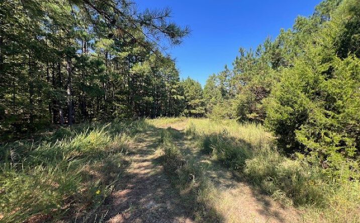 Pictures of Land property located at 200720 E Cooper Bend Road, Kinta, OK 74552 for sales - image #1