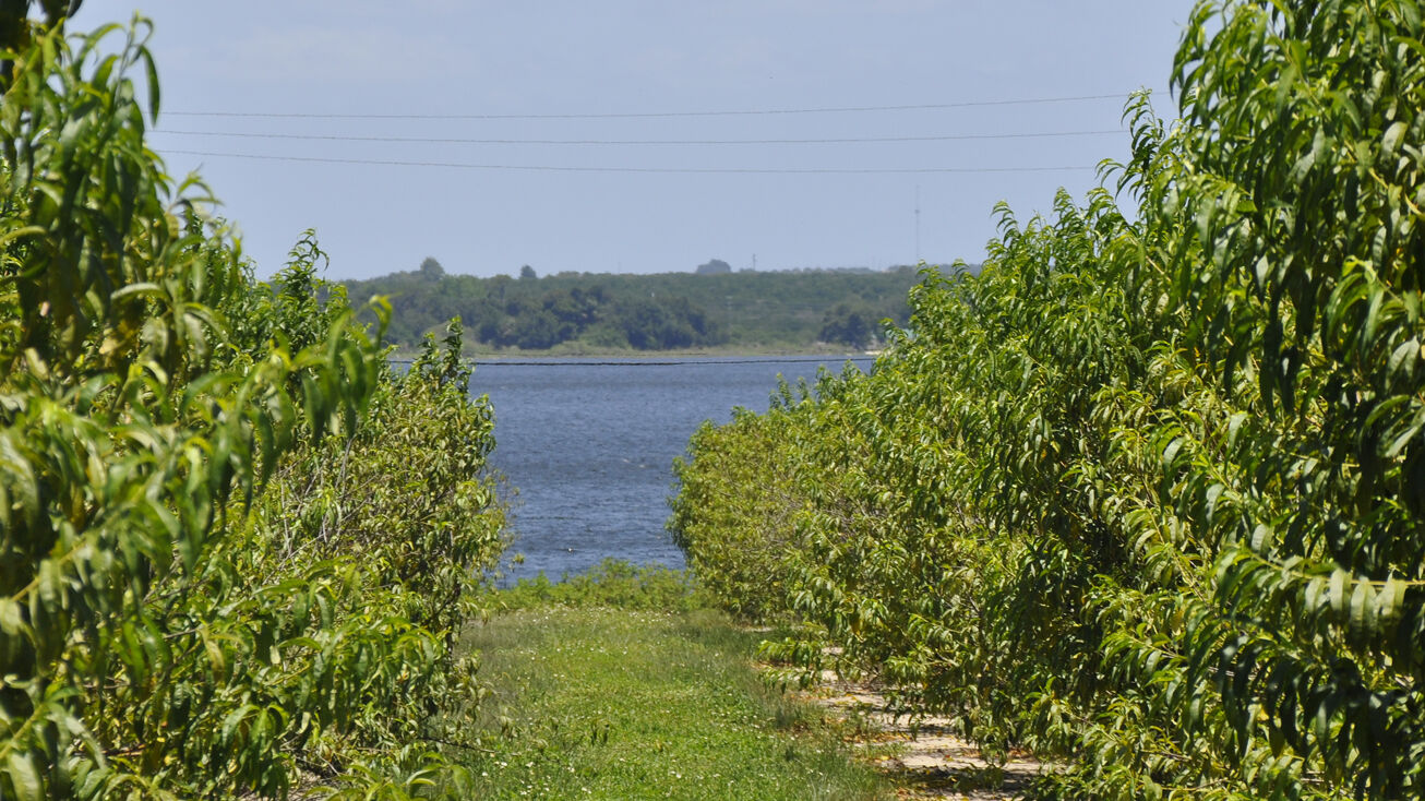 0 South Lake Clinch Blvd, Lake Wales, FL 33843 Land for Sale Lake