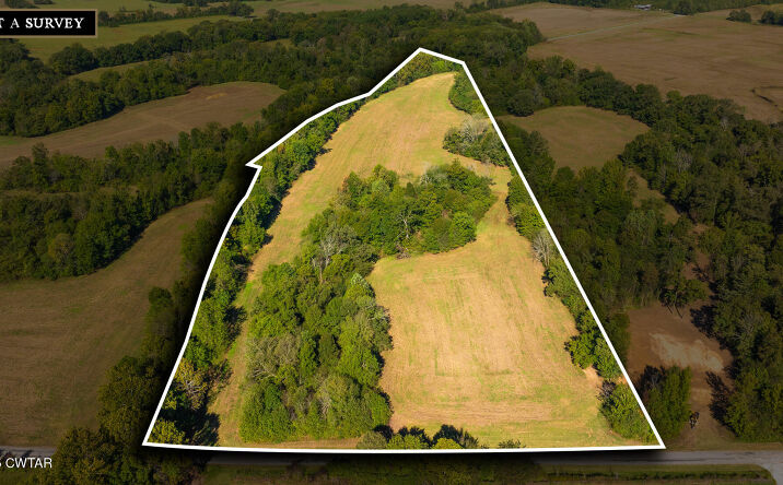 Pictures of Land property located at Tract 2 Hearn Road, Greenfield, TN 38230 for sales - image #1